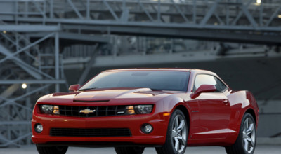 Musculosul Z28 - Photo