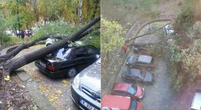 Ploaia de ieri şi-a lăsat amprenta pe mai multe maşini din oraş! - Photo