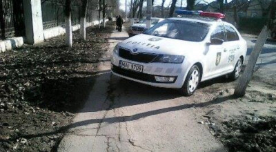 Dragă INP...! - Photo