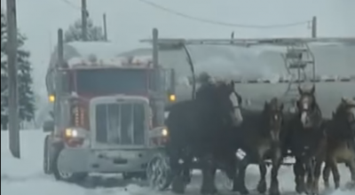 Uneori, o trăsură cu 4 cai face mai mult decît sutele de cai putere ale camionului tău. Iată dovada! - Photo