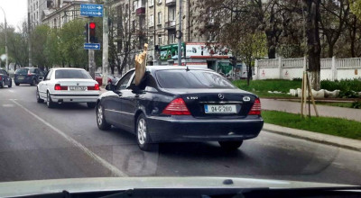 Cu S-Classul după lemne! Imaginația unora nu are limite! - Photo