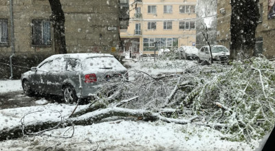 Bilanţul zilei de astăzi: Cod galben de ninsori, copaci doborâţi, maşini avariate şi trafic îngreunat - Photo