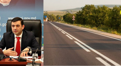 De vină sunt copacii, că șoferii se izbesc cu viteză în ei! Gaburici vrea să taie copacii de pe marginea drumurilor - Photo