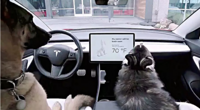 (VIDEO) Modelele Tesla au primit un nou update în care se regăsește ”regimul pentru patrupezi”! - Photo