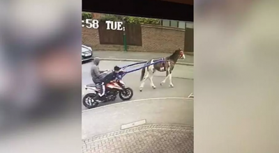 (VIDEO) Haz de necaz! Doi tineri și un cal, au furat o motocicletă! - Photo