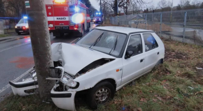 O șoferiță a pierdut controlul volanului, a zmuls un semn rutier și s-a izbit într-un stâlp! Din cauza unui PEȘTE viu. - Photo