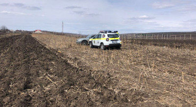 Fugarul a fost prins! Era beat la volan, deci am ghicit din prima! - Photo