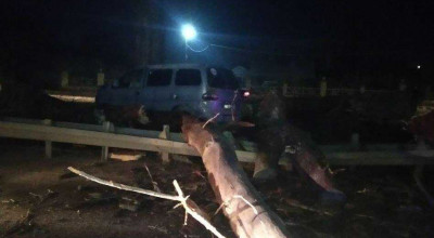 La Măgdăcești, un Hyundai s-a izbit violent într-un copac căzut pe carosabil - Photo