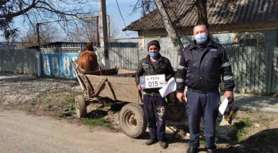 Vezi cum arată vehiculele cu tracţiune animală înmatriculate oficial, într-o localitate din Dubăsari! - Photo