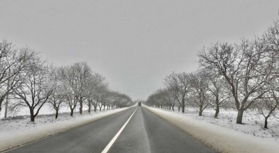 Atenție șoferi! ASD anunță numerele de telefon la care se va putea afla starea drumurilor non-stop - Photo