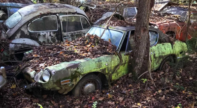 (FOTO) Într-o pădure din SUA a fost depistat un cimitir al automobilelor clasice - Photo