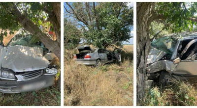 (FOTO) O fi lipsă de experiență? O șoferiță începătoare s-a izbit violent într-un copac - Photo