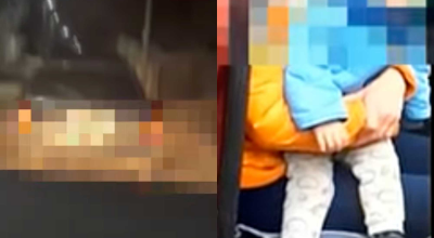 Cazuri șocante din weekend! O șoferiță în stare de ebrietate s-a tamponat în gardul unei gospodării - Photo