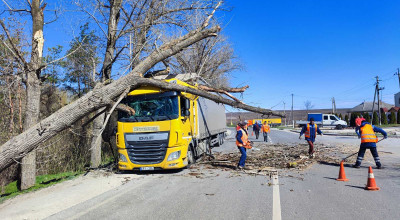 Atenție șoferi! Se prevăd intensificări ale vântului în rafale de până la 19-24 m/s - Photo
