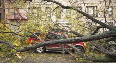 Avertizare meteo: se prognozează intensificări ale vântului pe tot teritoriul țării - Photo