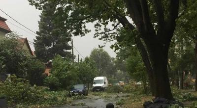 SHS a emis Cod Galben de vânt puternic. Va afecta mai multe raioane din țară - Photo