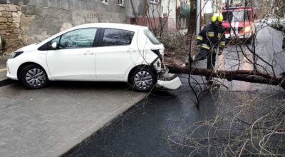 Nu parcați mașinile în preajma arborilor! SHS a emis Cod Galben de vânt - Photo