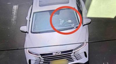 Prinși cu telefonul la volan. Peste 2.400 de șoferi, sancționați în doar trei săptămâni - Photo