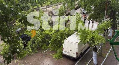 Un arbore a căzut peste 3 automobile parcate: un Mercedes, Mitsubishi și o Toyota - Photo